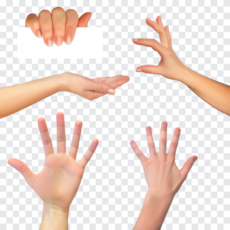 Realistic 3D Silhouette of  hand on White Background. Vector Illustrationのイラスト素材