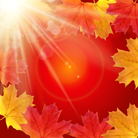 Shiny Autumn Natural Leaves Background. Vector Illustration EPS10のイラスト素材
