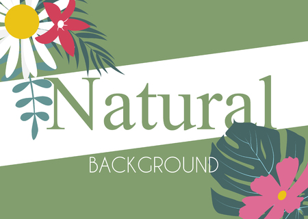 Beautifil Palm Tree Leaf  Silhouette Background Vector Illustrationのイラスト素材