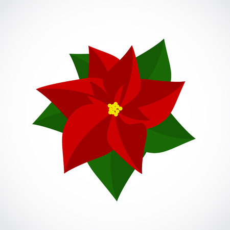 Flat Icon of Christmas Poinsettia Flower. Vector illustration EPS10のイラスト素材