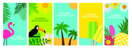 Collection set of social media stories design templates summer backgrounds. Vector Illustration
