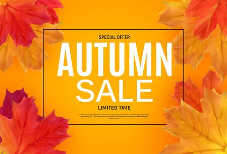 Shiny Autumn Leaves Sale Banner. Business Discount Card. Vector Illustrationのイラスト素材