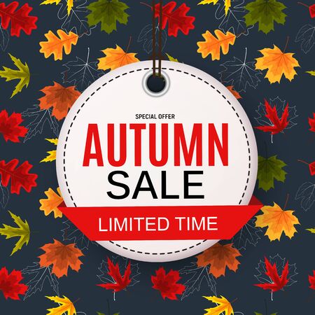 Shiny Autumn Leaves Sale Banner. Business Discount Card. Vector Illustration EPS10
のイラスト素材