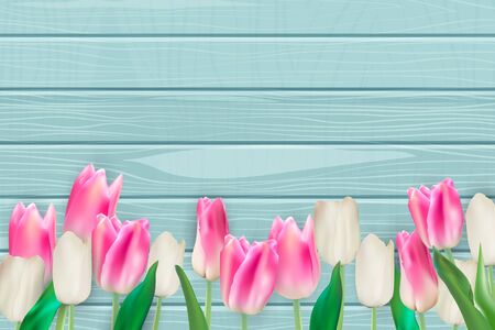 Realistic Vector Illustration Colorful Tulips Background. EPS10のイラスト素材