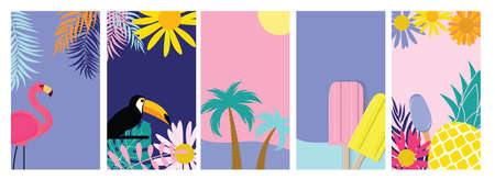 Collection set of social media stories design templates summer backgrounds. Vector Illustration