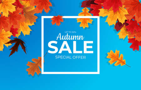 Shiny Autumn Leaves Sale Banner. Vector Illustration EPS10のイラスト素材
