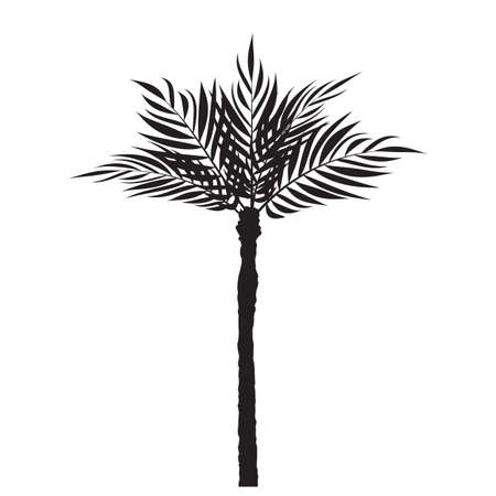 Beautifil Palm Tree Leaf Silhouette Background Vector Illustrationのイラスト素材