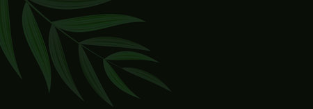 Natural Realistic Green Palm Leaf Tropical Background. Vector illustration