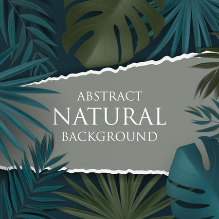 Abstract Natural Background with Tropical Palm and Monstera Leaves. Vector Illustrationのイラスト素材