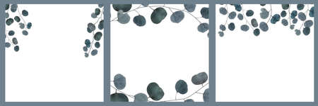 Collection set natural cards with realistic eucalyptus leaves. Vector Illustration. EPS10のイラスト素材