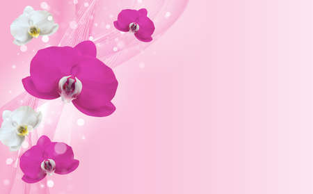3D Realistic Natural beauty orchid flower background. Design Template for Ads, flyer or Magazine Background. Vector Illustration EPS10のイラスト素材