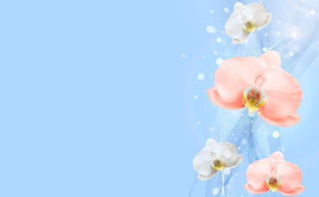 3D Realistic Natural orchid flower blue background. Design Template for Ads, flyer or Magazine Background. Vector Illustration EPS10のイラスト素材