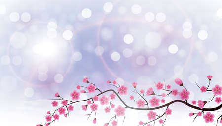 Glossy Spring Background with Sakura Flowers. Vector Illustration EPS10のイラスト素材