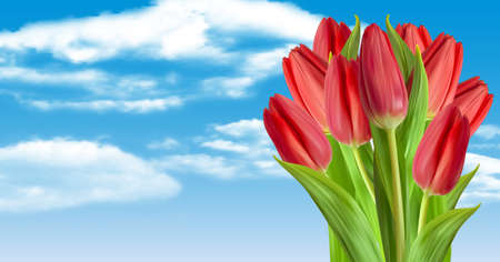 Realistic Natural Tulips Flower Background with sky and cloud. Vector Illustration EPS10のイラスト素材