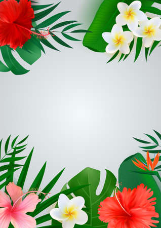 Abstract Empty Natural Exotic Tropical Background. Can be used as Poster, Sale ads, Card. Vector Illustrationのイラスト素材