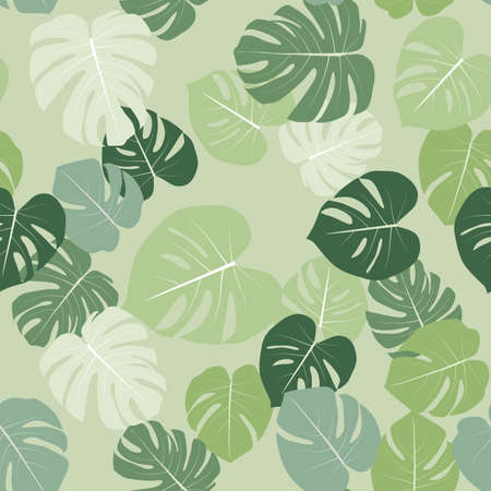 Monstera leaves seamless pattern natural tropical background.のイラスト素材