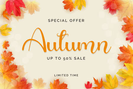 Shiny Autumn Leaves Sale Banner. Business Discount Card. Vector Illustration EPS10のイラスト素材