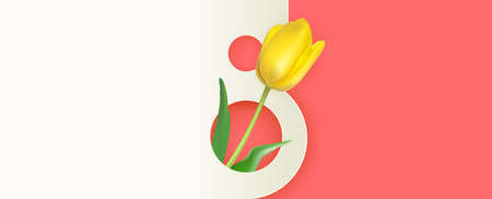 8 March sale banner Background Design. Template for advertising, web, social media and fashion ads. Poster, flyer, greeting card, header for websiteのイラスト素材