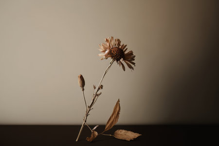 dry flower with a beige empty wall. Illustration Generative AIの素材