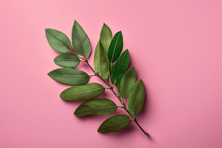 a beautiful green fresh branch on a pink background. Illustration Generative AIの素材