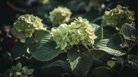 Hydrangea flower background. Illustration AI Generativeの素材
