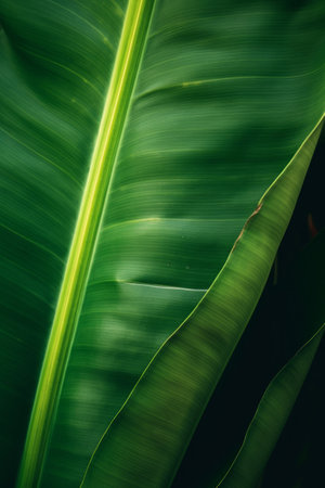 Tropical palm leaves background. Illustration Generative AIの素材