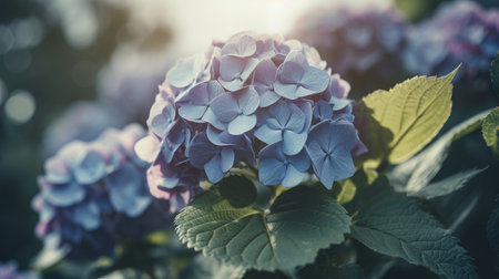 Hydrangea flower background. Illustration Generative AIの素材