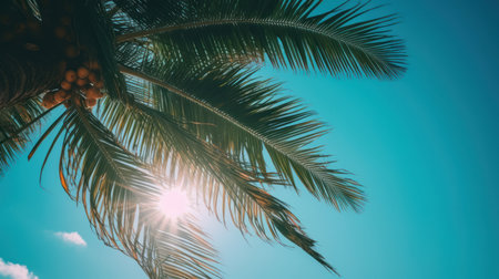 palm tree sunny background. Illustration Generative AIの素材
