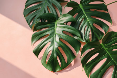 natural monstera leaves background. Illustration Generative AIの素材