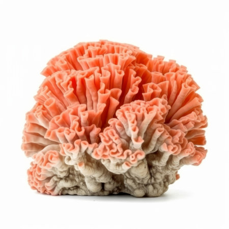 Coral isolated. Illustration Generative AIの素材