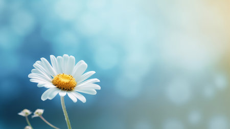 Chamomile natural background. Illustration Generative AIの素材