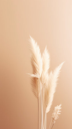 Pampas grass beige minimalist background. Illustration Generative AIの素材
