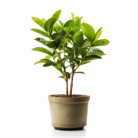 Green domestic plant in flower pot. Illustration Generative AIの素材