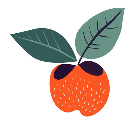 Simple doodle apple fruit. Vector Illustration EPS10のイラスト素材
