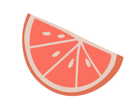 Simple doodle grapefruit. Vector Illustration EPS10のイラスト素材