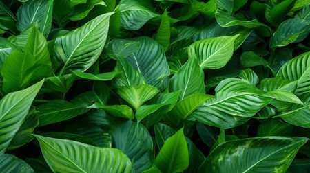 tropical leaves background. Illustration Generative AIの素材