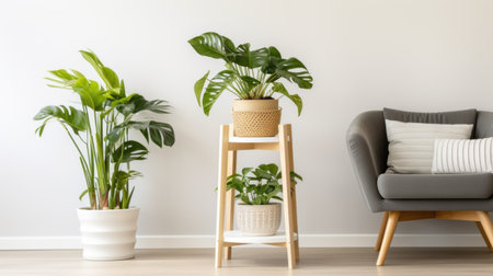 plant in a modern kitchen, bringing hanging life to the space and adding a fresh touch to the sleek designの素材