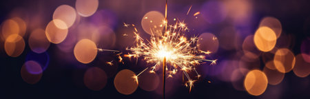 a sparkler burns at a dark night.の素材