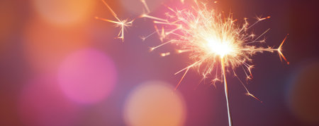 a sparkler burns at a dark night.の素材