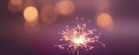 a sparkler burns at a dark night.の素材