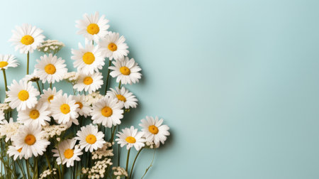 chamomile flower on pastel background with copy spaceの素材