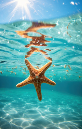 starfish on the ocean in wallpaper,の素材