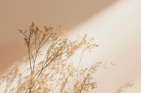 a beige background with a white plant against it.の素材