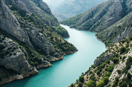 the water of a river with birds swimming in it..の素材
