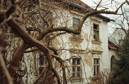 the house in the background has several windows in it.の素材