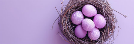 several purple eggs in a nest on a purple background.の素材