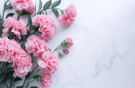 a bouquet of pink carnations is placed in a frame on white flat.の素材