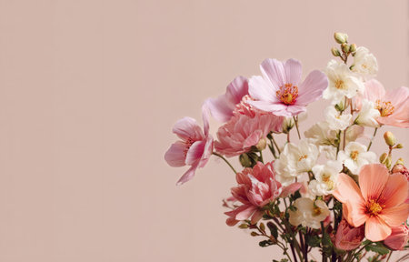 Vibrant pink and white flowers are arranged beautifully against a soft pink background. This floral display adds warmth and cheerfulness to any setting..の素材