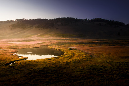 Pound in Yellowstone National Parkの写真素材
