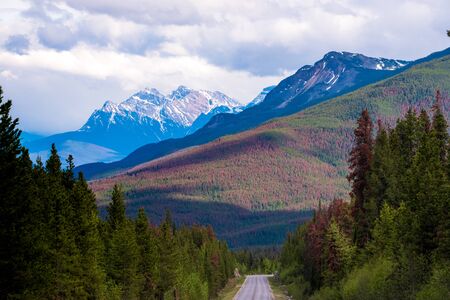 Mountain roadの写真素材